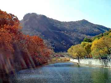 天天彩好彩天天免费，水泥瓦成型机